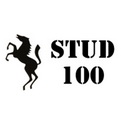 Stud 100 логотип компании
