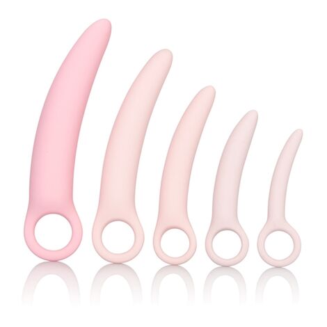 Набор: 5 вагинальных массажеров из силикона Inspire Silicone Dilator Kit